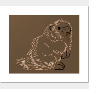 Porcupine Posters and Art